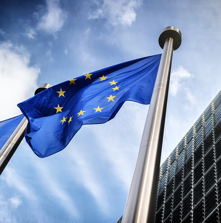 EC calls for bio-based innovation in new EU Bioeconomy Strategy