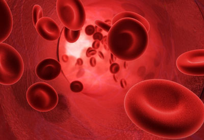 Italian non-profit set for EU gene therapy first in Wiskott-Aldrich