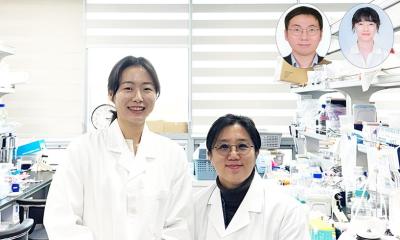 Depression: not just a disease of the mind