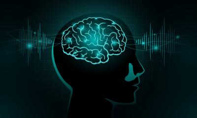 When music lights up the brain: insights from fMRI