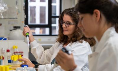 Klebsiella strain to protect against IBD gut infections