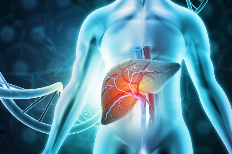 Regeneron and Tessera partner to develop gene therapy for AATD