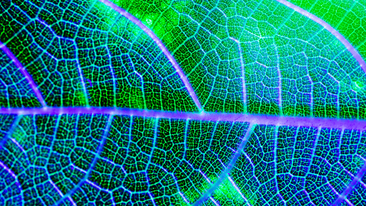 Europe&rsquo;s edge in energy, software, and the future of compute