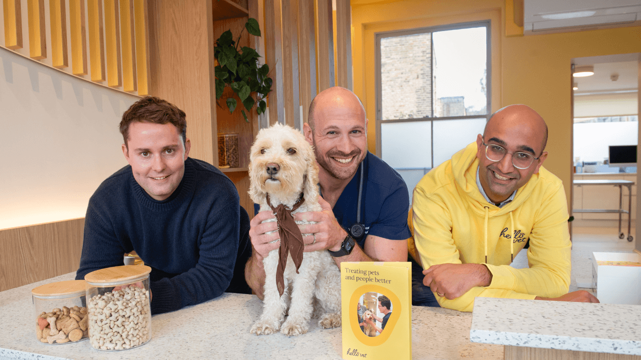 &pound;15M boost for Hello Vet as it reimagines the future of veterinary care
