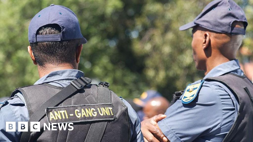 South Africa gang violence: Firoz Cachalia says police not able to defeat gangsters