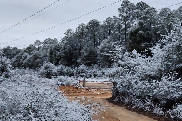 Small part of Sunshine State becomes Snowy State as Florida gets snow for 2nd year in a row