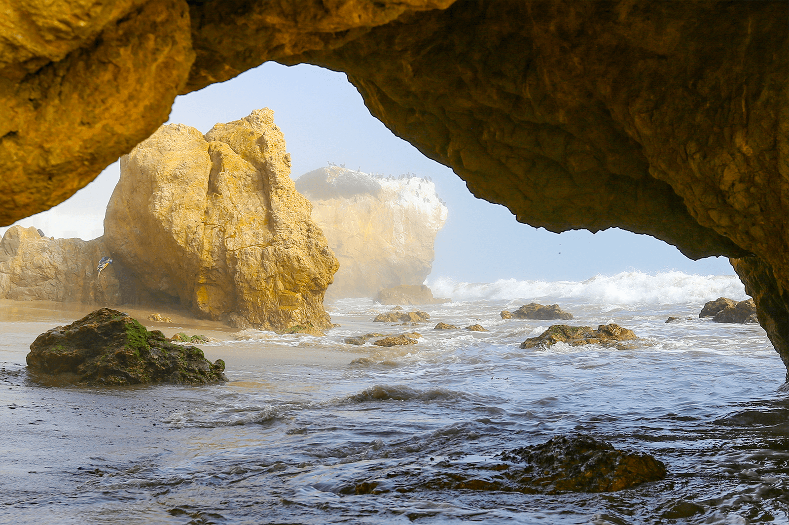 Best beaches in California for swimming, whales & winter sun