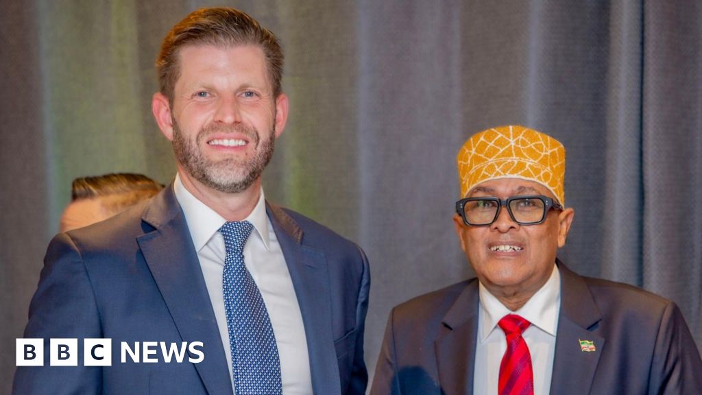 Somaliland president meets Eric Trump and Israels Isaac Herzog at Davos
