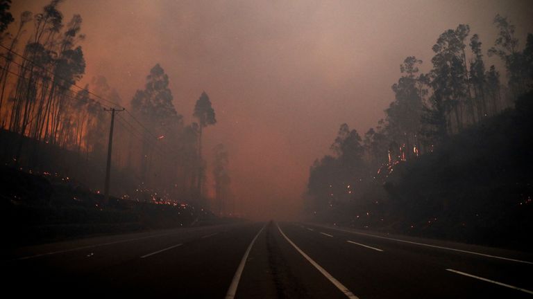 State of catastrophe in Chile as deadly wildfires rage