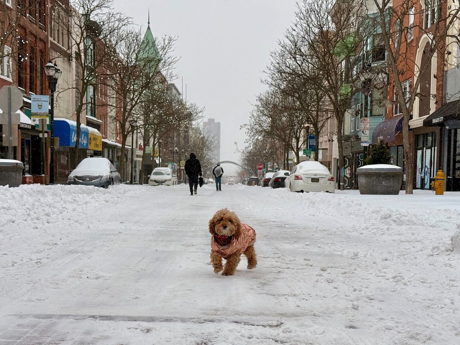 Philadelphia snow updates: Dangerous cold stretch, snowfall totals and latest storm impact