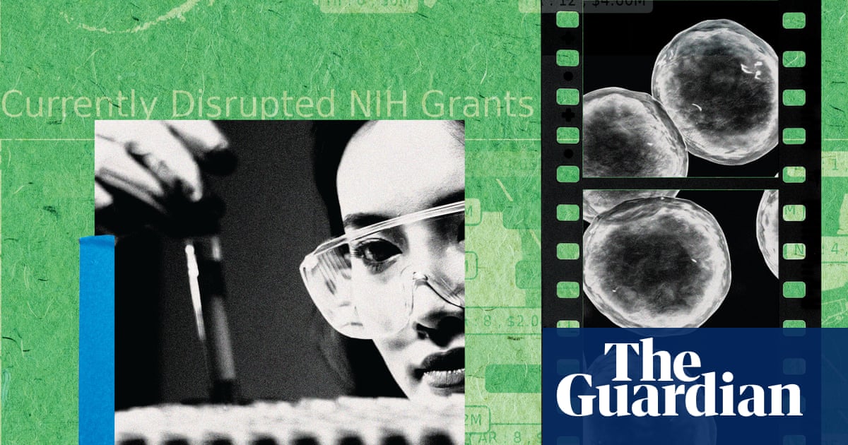 &lsquo;We&rsquo;re no longer attracting top talent&rsquo;: the brain drain killing American science