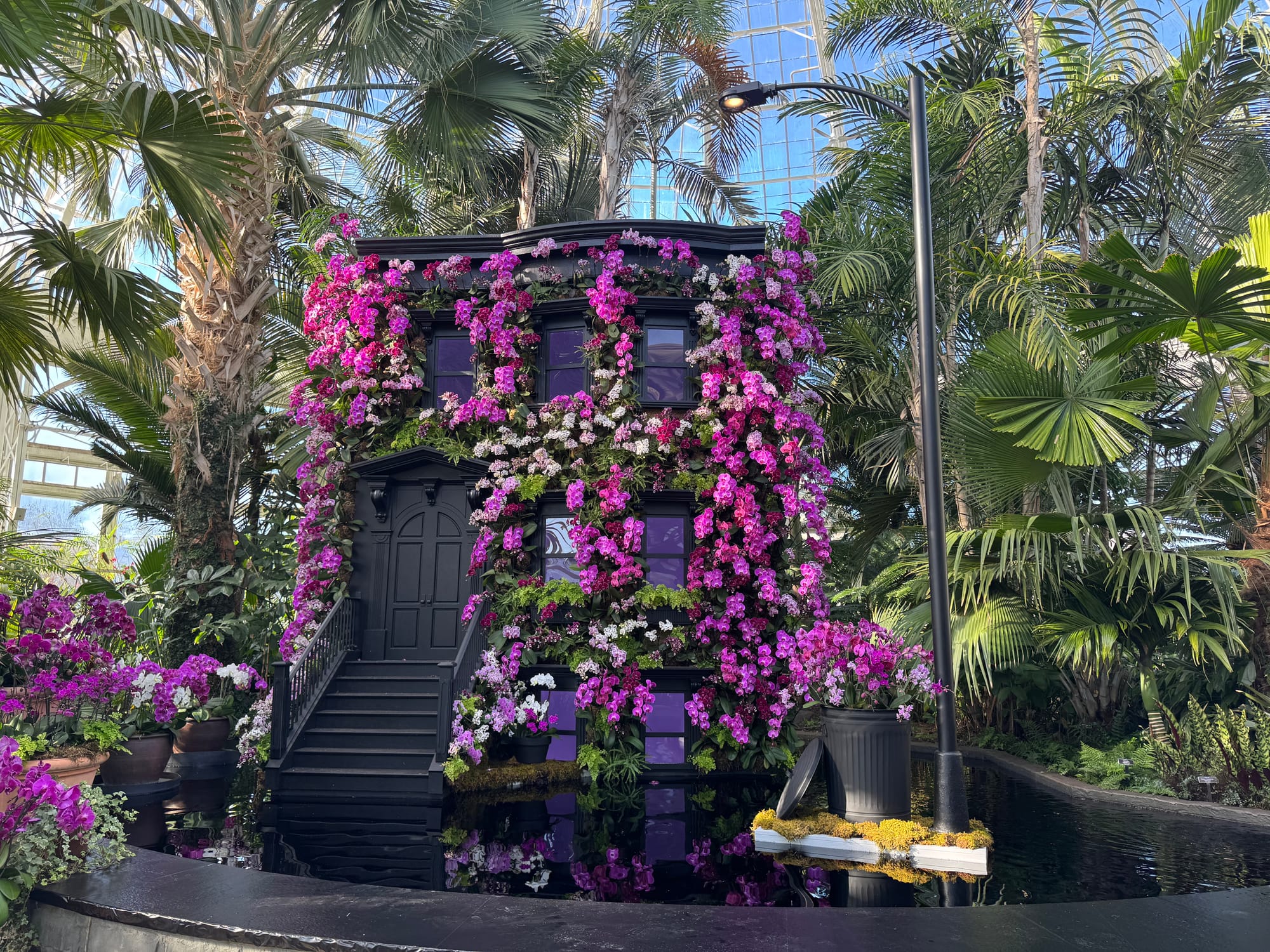 A Tour Inside the NY Botanical Garden&rsquo;s Trippy Orchid Show