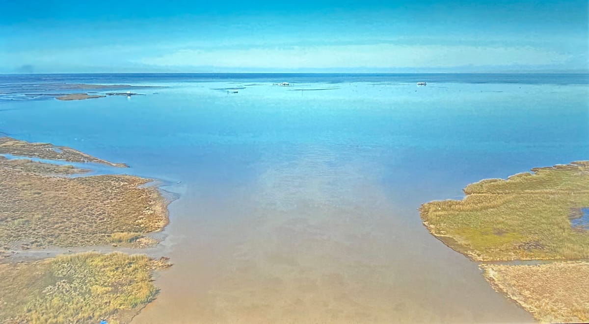 Deborah Jack&rsquo;s Immersive Elegy for Water