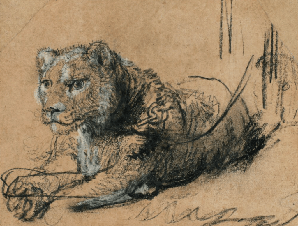 Thomas Kaplan’s Rembrandt Lion Drawing Sells for .8 M. at Sotheby’s