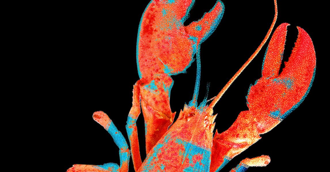 Moltbook, the Social Network for AI Agents, Exposed Real Humans&rsquo; Data