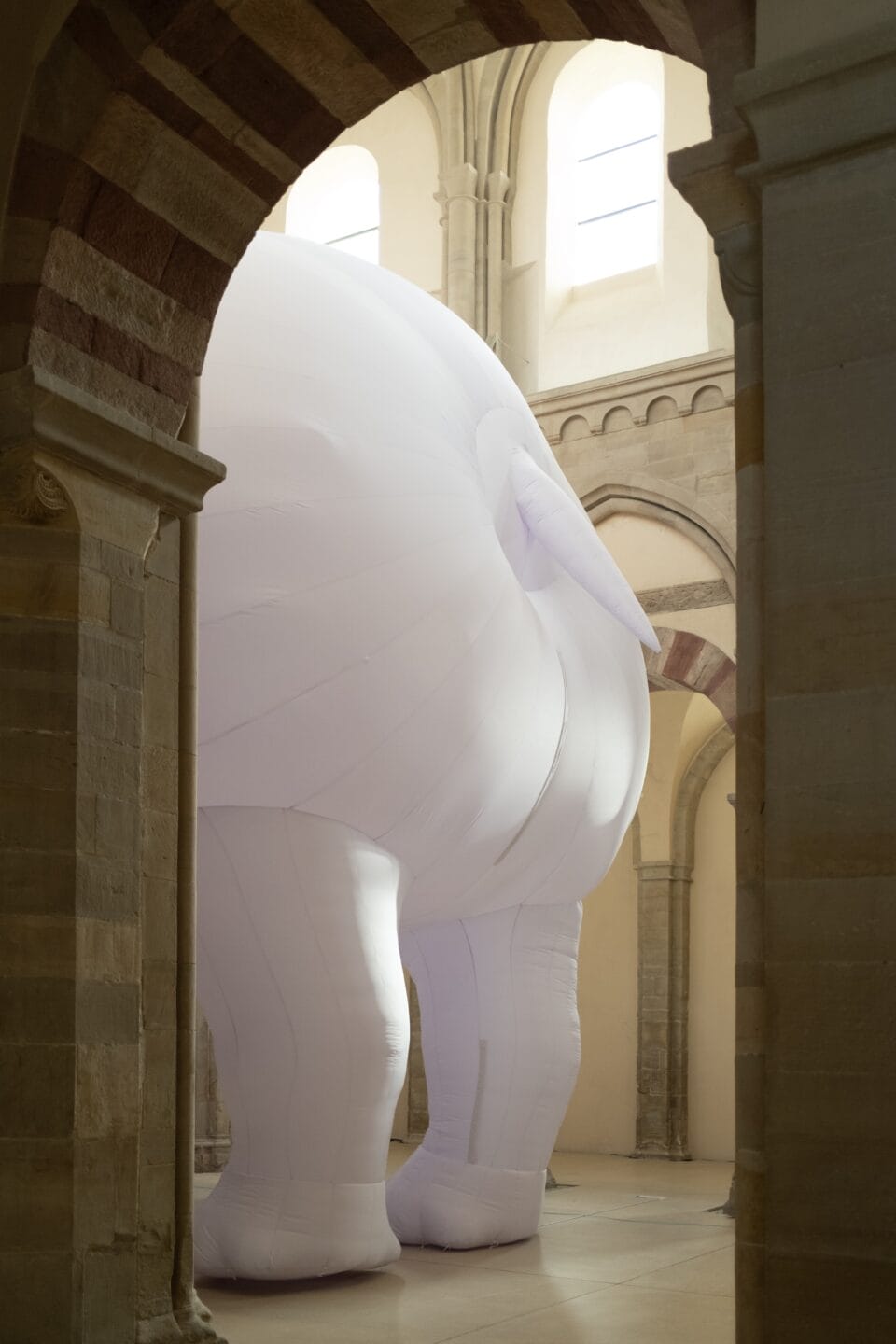 Itamar Gov Draws on History and Legend for 'The Rhinoceros in the Room'