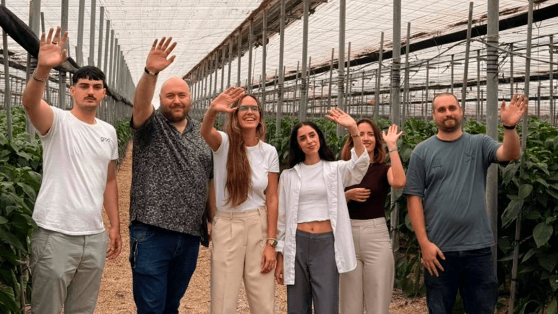 Grodi raises &euro;2.5M led by Swanlaab to advance greenhouse automation