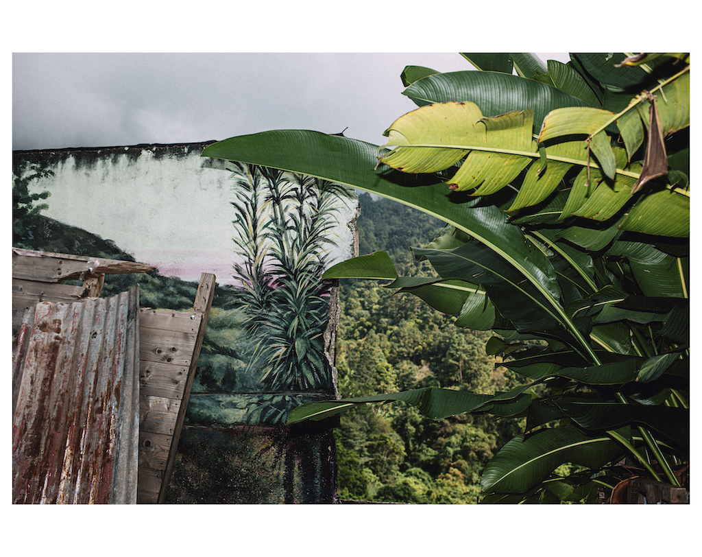 Artists Rally for Jamaica and L.A. With a Hollywood Auction During Art Week