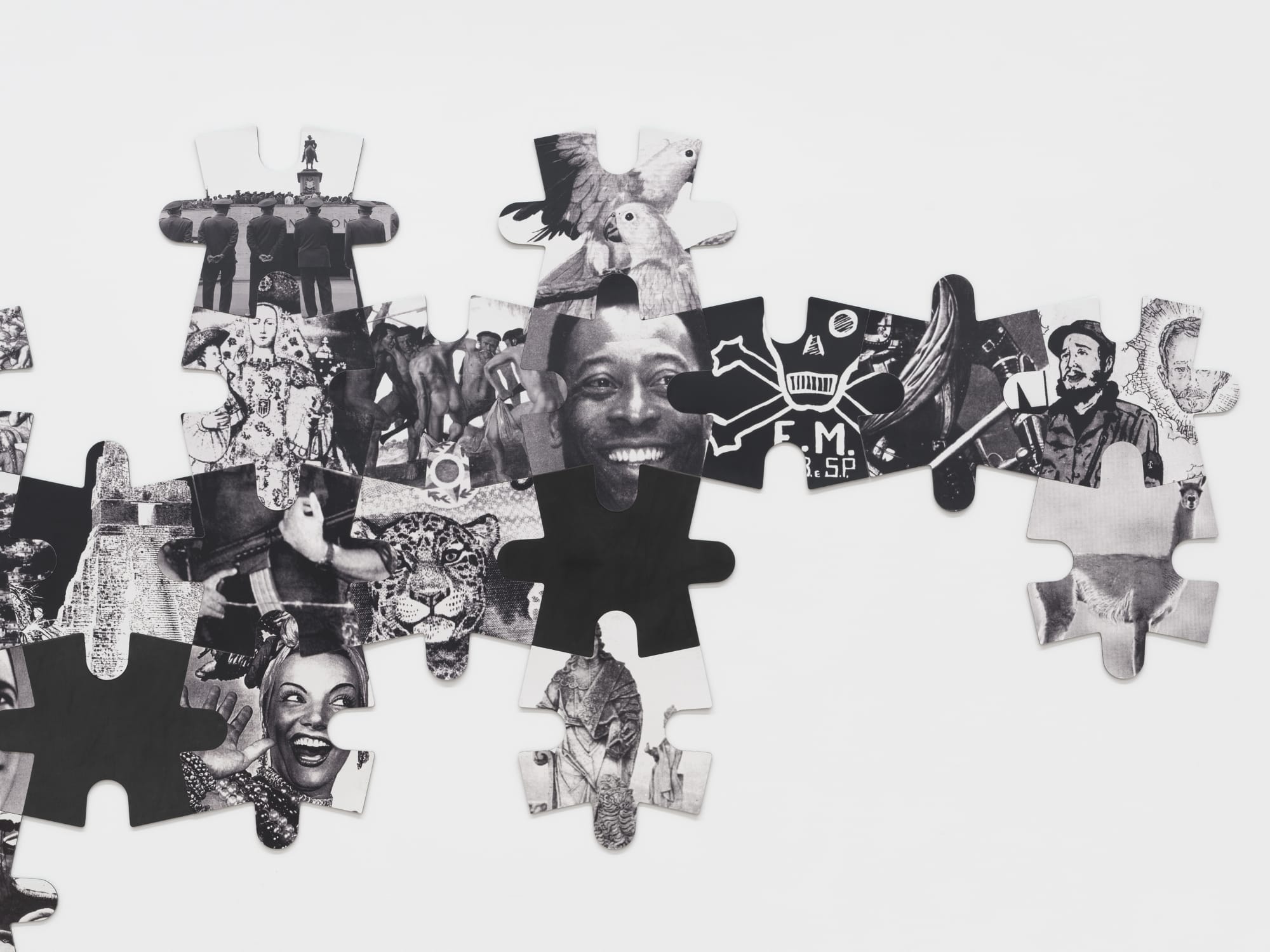 Regina Silveira Pieces Together an Evolving Narrative of Latin America