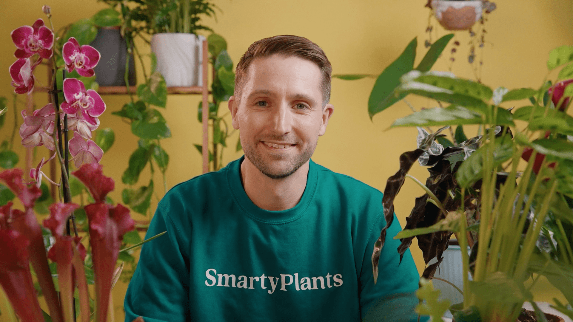 SmartyPlants closes &pound;190K funding round for smart plant care technology