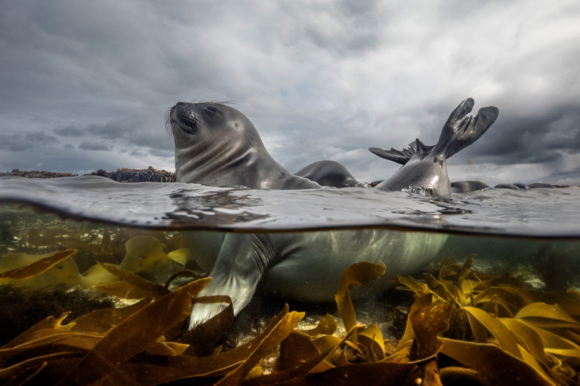 See the Best of Nearly Half a Million Entries to the Sony World Photography Awards