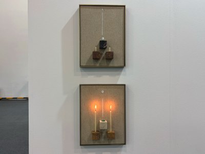 The Best Booths at Zona Maco 2026, Where Sculptures Using Natural Materials Shine