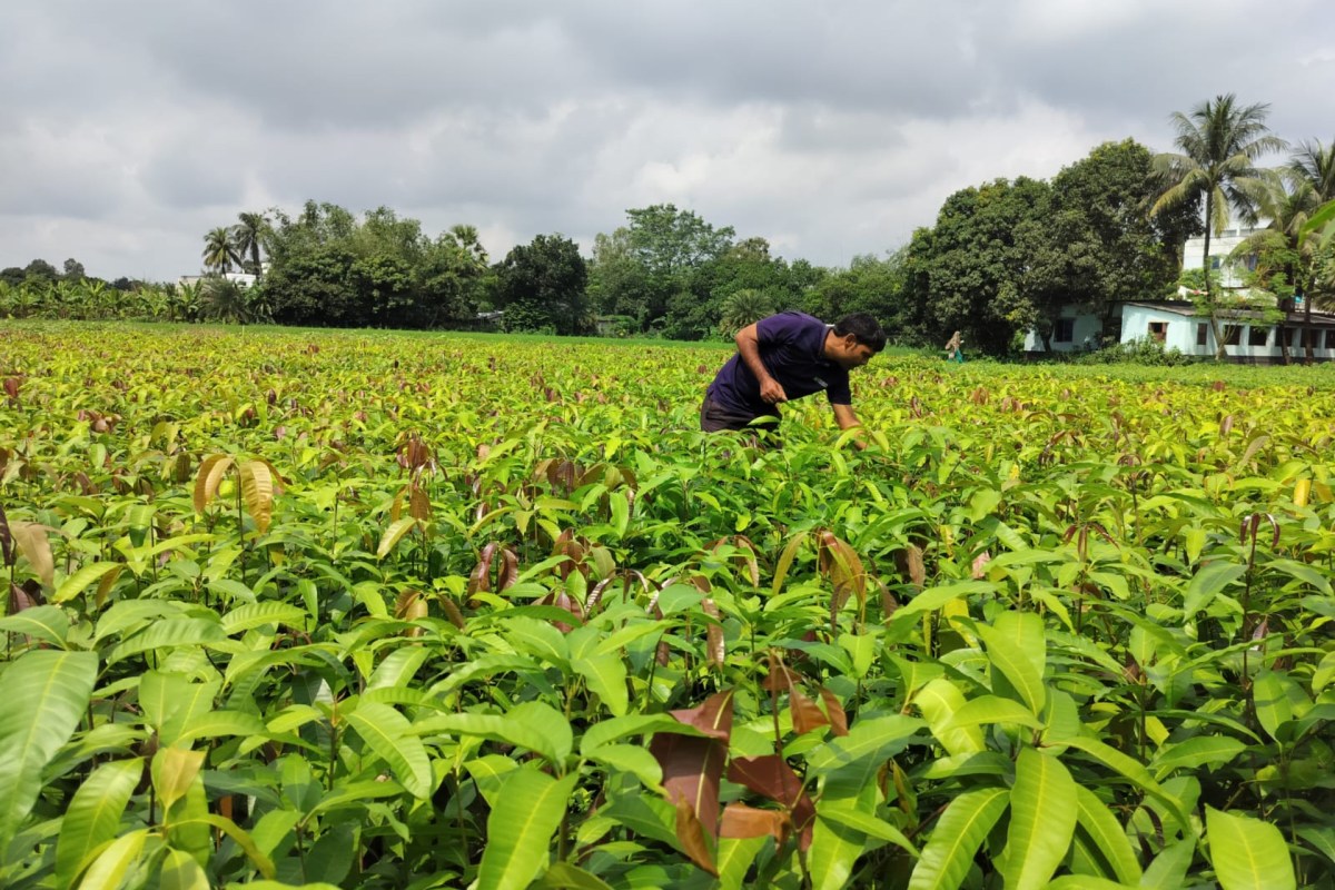 India's Varaha bags M to scale carbon removal from the Global South | TechCrunch