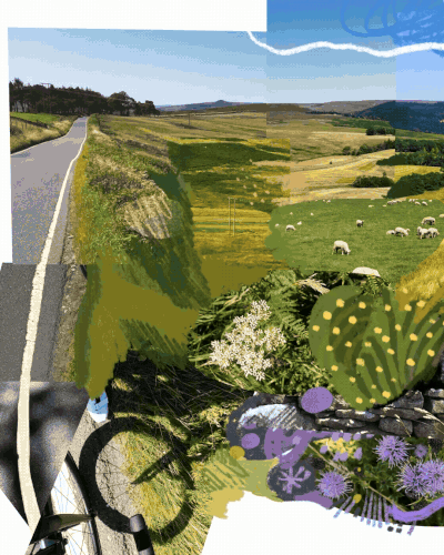 Moving Multimedia Collages by Rich Wells Playfully Remember Places and Landscapes