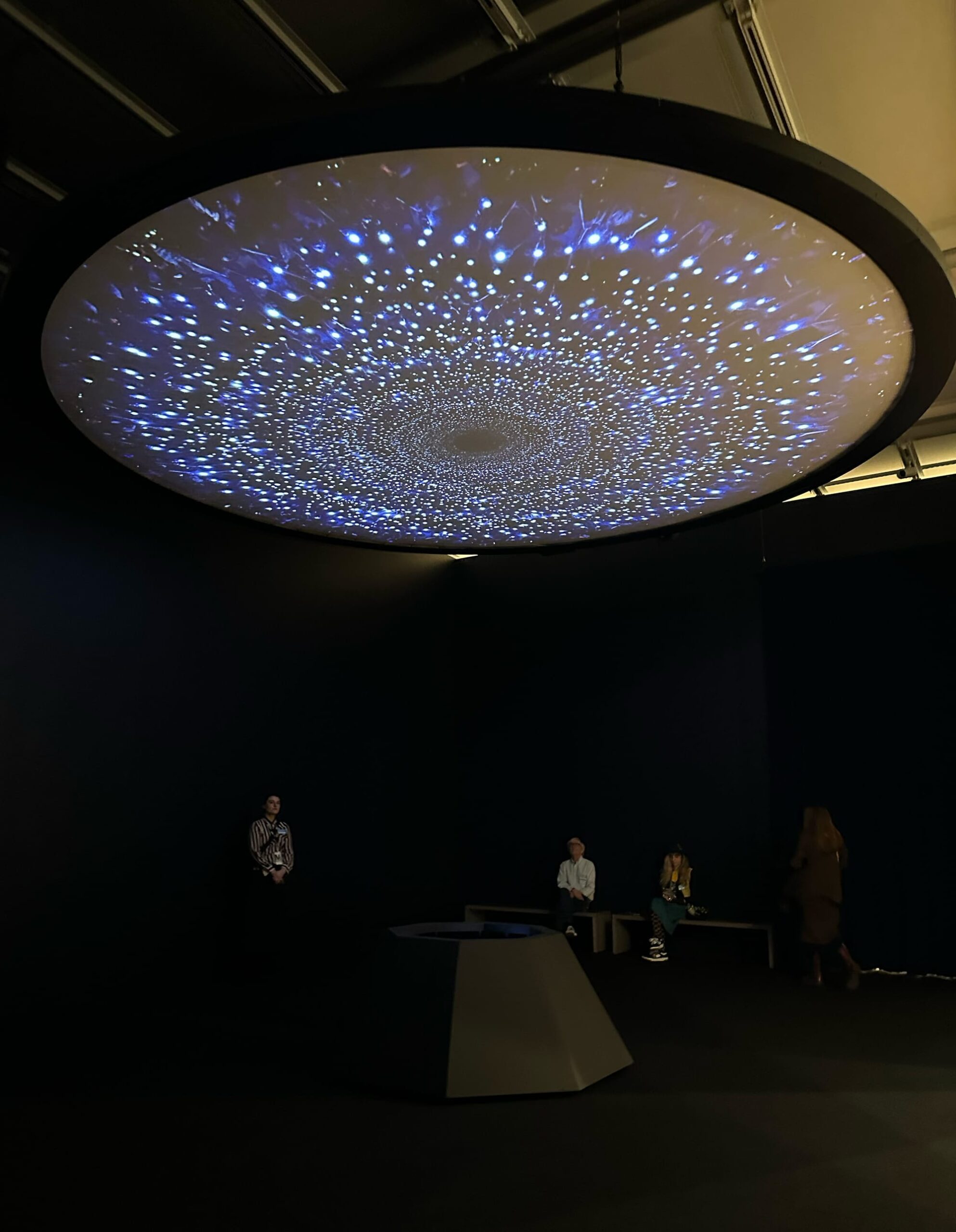 The Polycrisis Sublime of the Whitney Biennial