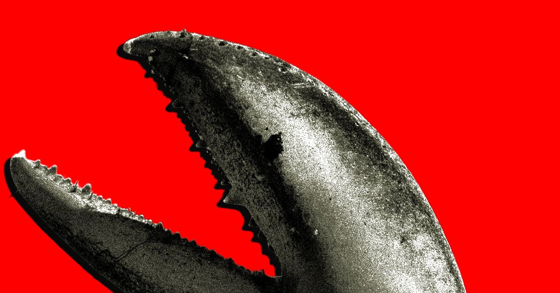 China&rsquo;s OpenClaw Boom Is a Gold Rush for AI Companies