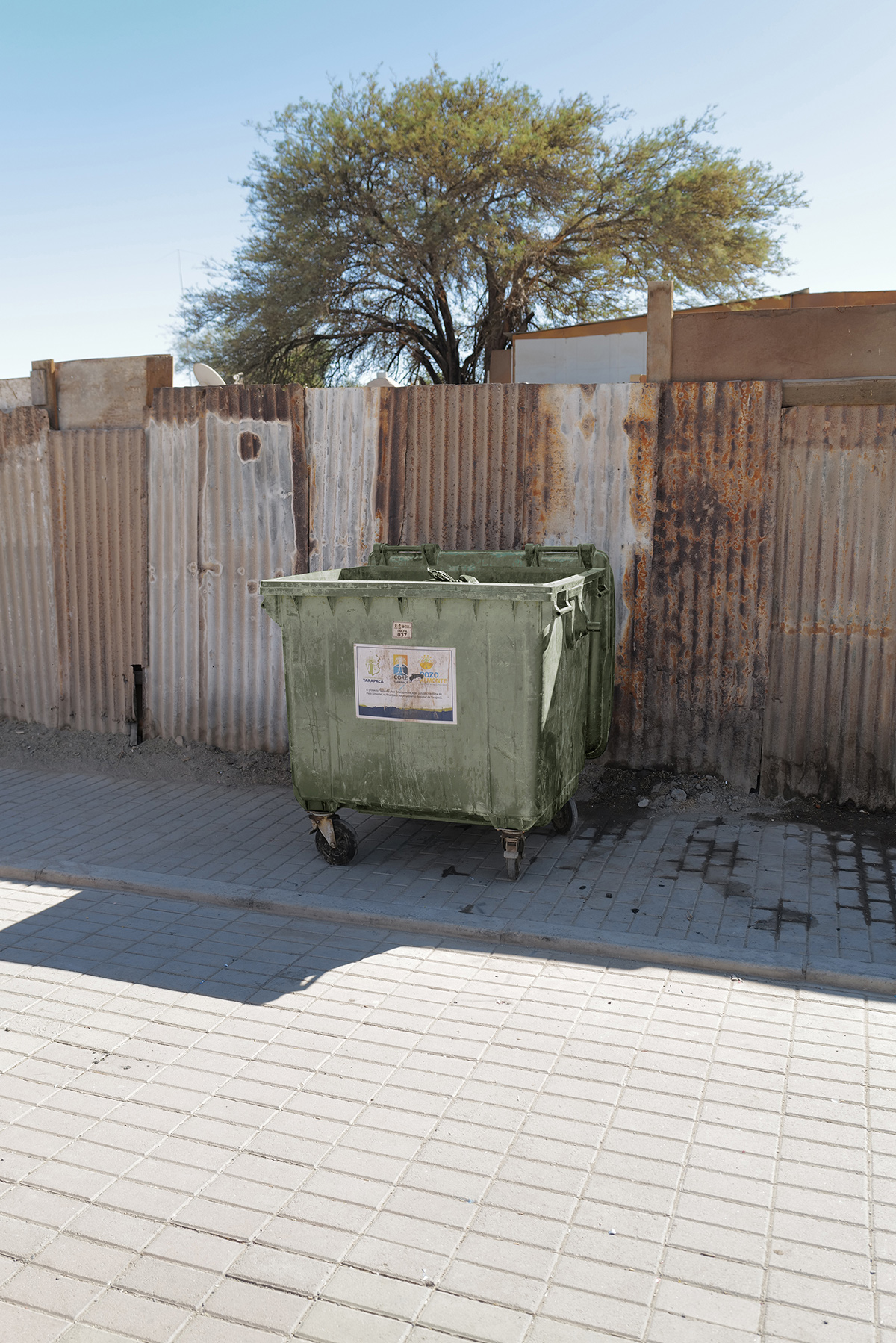 "When the Desert Breathes Again" by Photographer Gonzalo Palaveccino