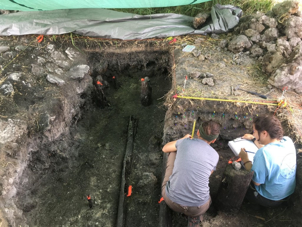 A Newly Excavated Maya Settlement in Belize Shows Adaptation to Climate Change