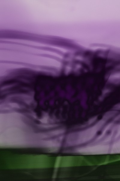 Whitney Biennial shifts to infrastructural interventions