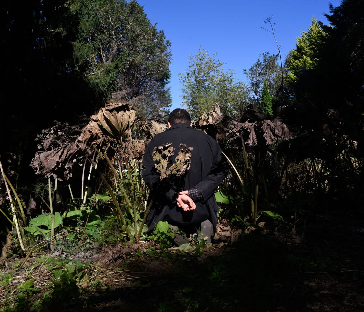 Ali Eyal Gives Testimony