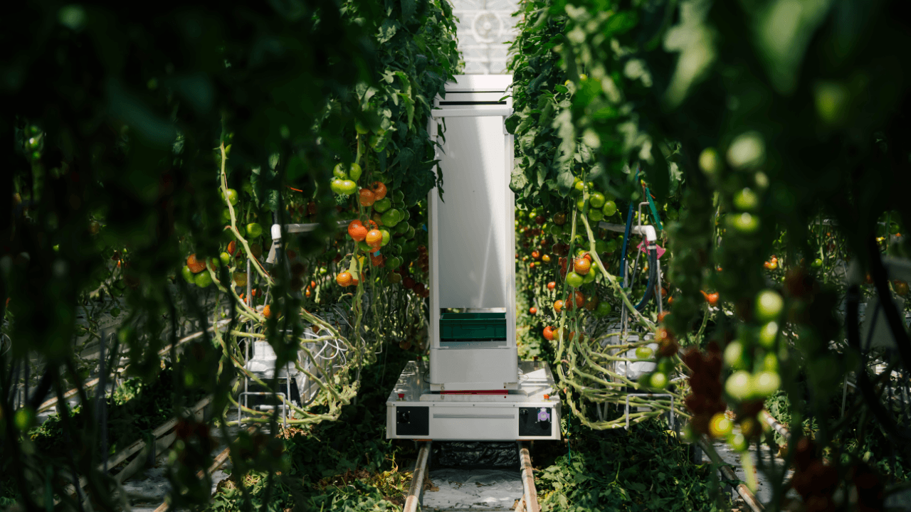 Eternal.ag raises &euro;8M to automate greenhouse harvesting with AI-powered robots