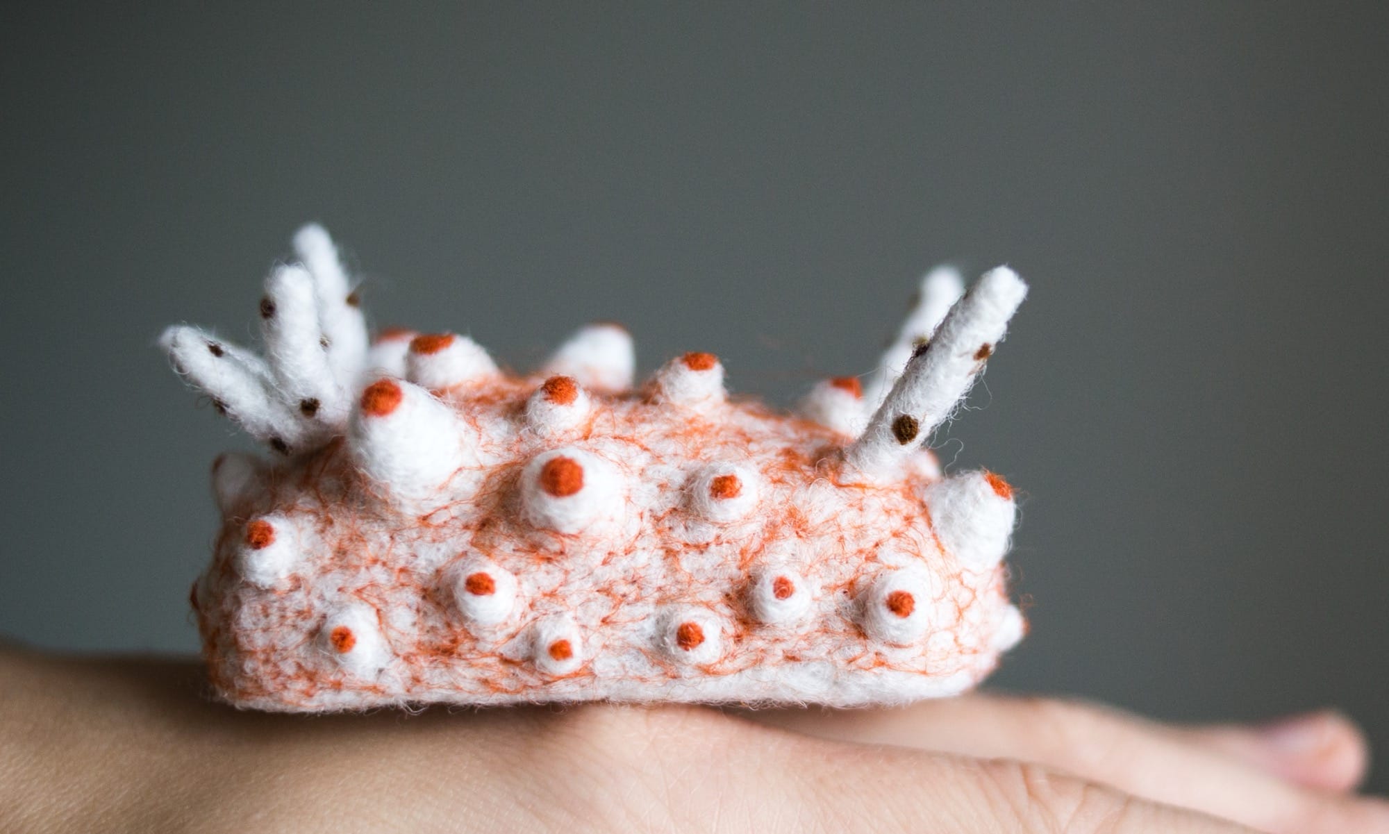 Wool Creature Lab’s felted nudibranch art world