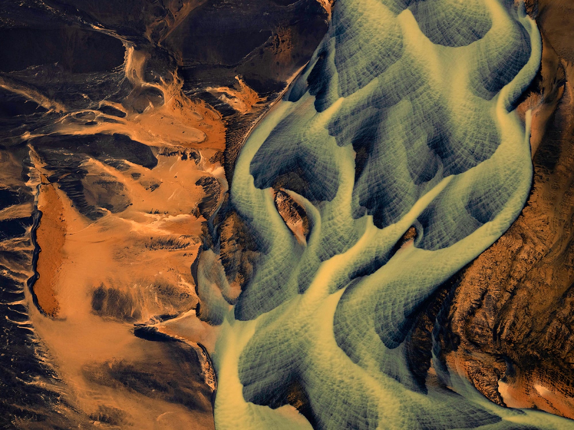 From Micro to Mega, Jon McCormack's Striking Photos Reveal Nature's Patterns