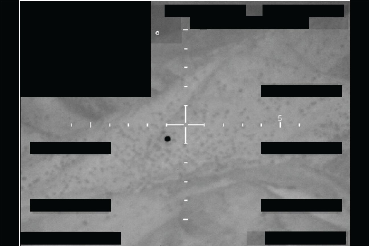 &lsquo;Orbs,&rsquo; &lsquo;Saucers,&rsquo; and &lsquo;Flashes&rsquo; on the Moon: Pentagon Drops New UFO Files