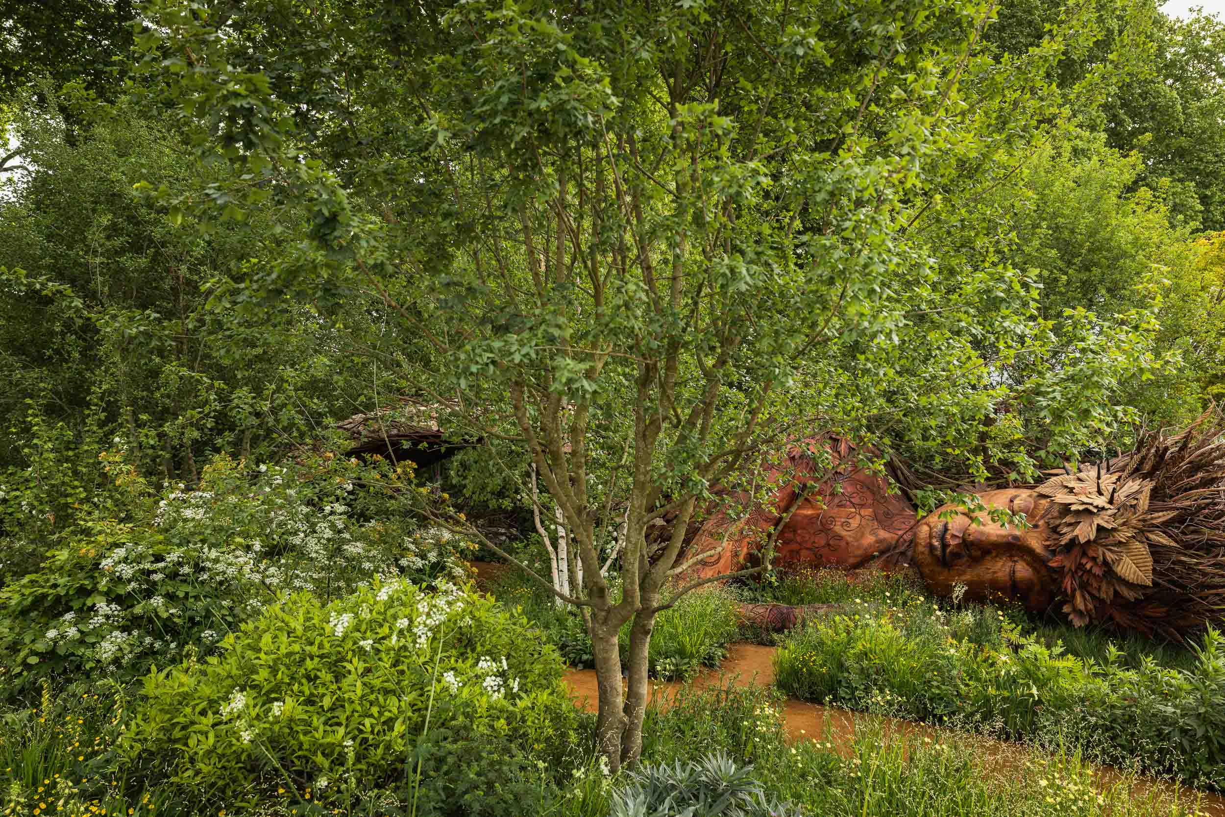 Gaia Sleeps Amid Sarah Eberle's Award-Winning Garden at the RHS Chelsea Flower Show