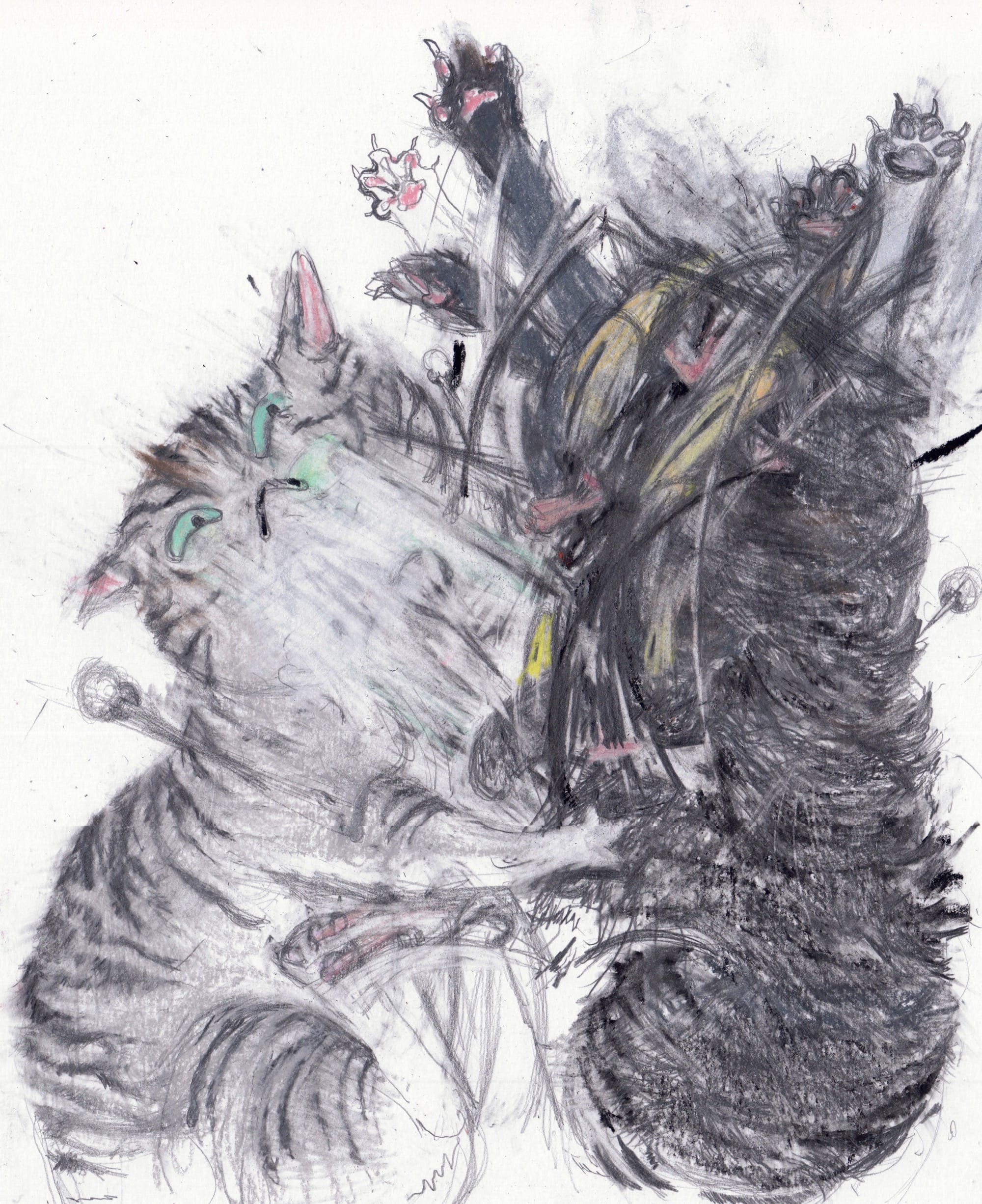 Anarchic Cats Are Ensnared in Chaos in Léo Forest's Dynamic Drawings Anarchic Cats Are Ensnared in Chaos in Léo Forest's Dynamic Drawings